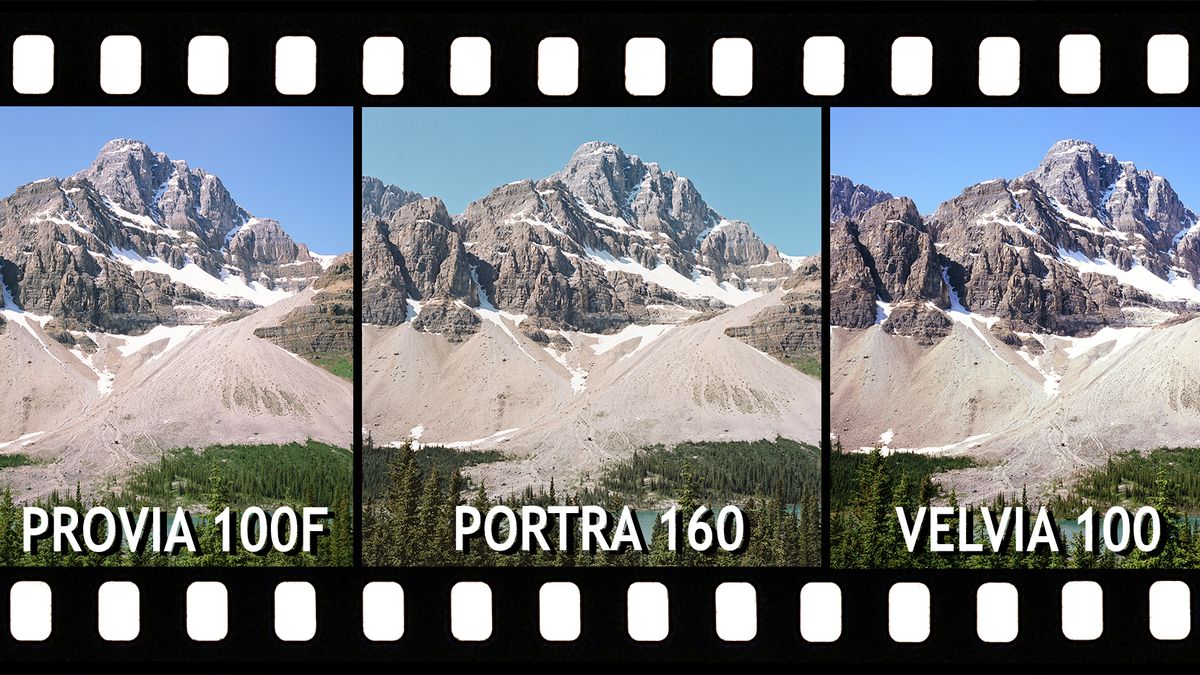 Slide Film vs Color Negative: Portra 160, Provia 100F & Velvia 100