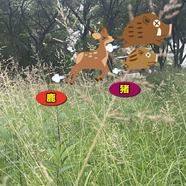 楽天市場】害獣駆除 忌避剤 イノシシ対策 シカ対策 害獣対策 イノシシ