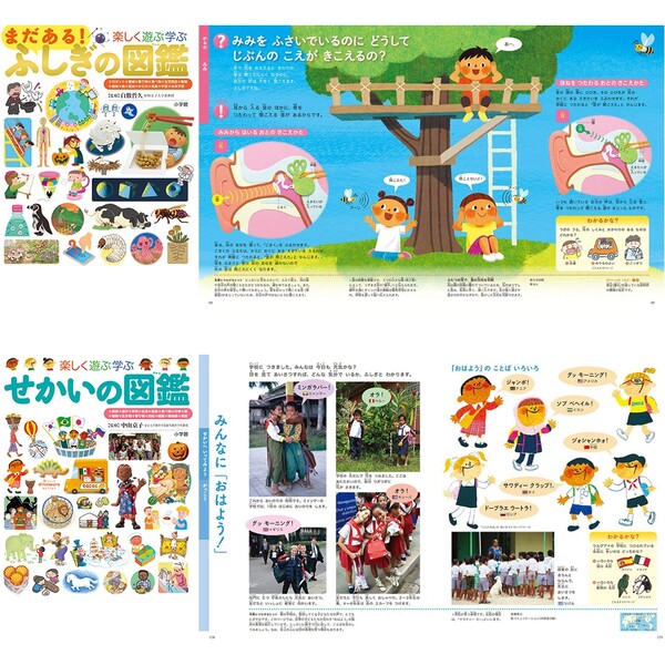 楽天市場】小学館 図鑑NEO プレNEO 11冊セット 不思議 世界 日本