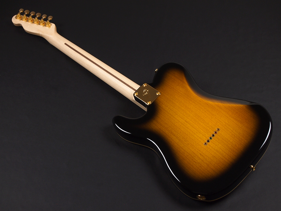 Fender Richie Kotzen Telecaster Maple Fingerboard Brown Sunburst