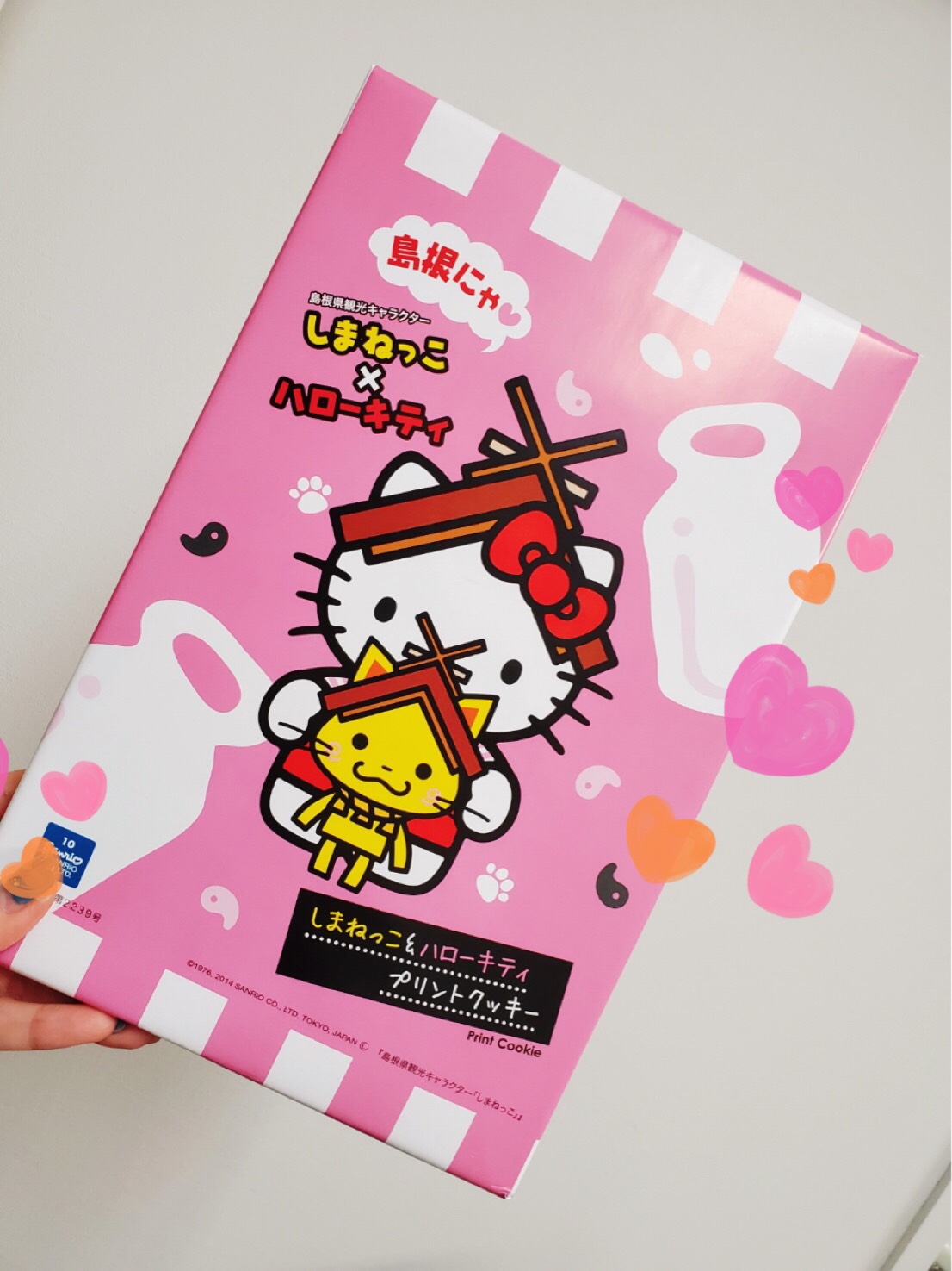 しまねっこ×キティ―ちゃん｜シューリーズ宇品店 広島市宇品で板金