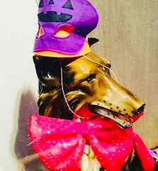 上級ラインストーン】新品 社交ダンス 黒 ピンクプリントカットソー