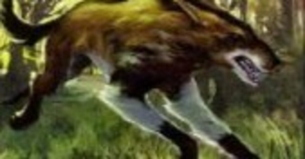 ミドルスクール 青緑マッドネス 75枚セット 全て 日本語 旧枠 青緑