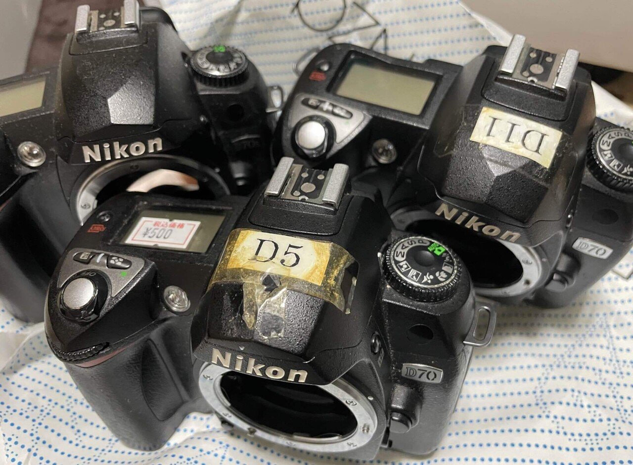 ワンコインNikon D70の実力｜けいふ