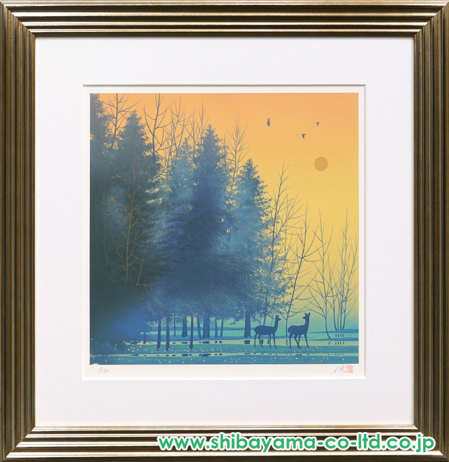 9101_3f28ad4d1795c55b78f8845a5