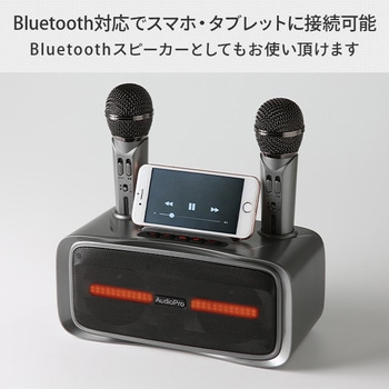 ST-2028 ワイヤレスマイクスピーカー マイク2本付き 1台 とうしょう