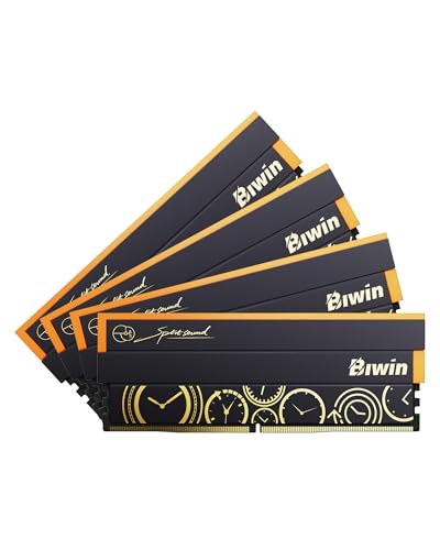 DW100】Biwin DW100 DDR5 6000MT/s (PC5-4800 (Biwin) - ¥239,980