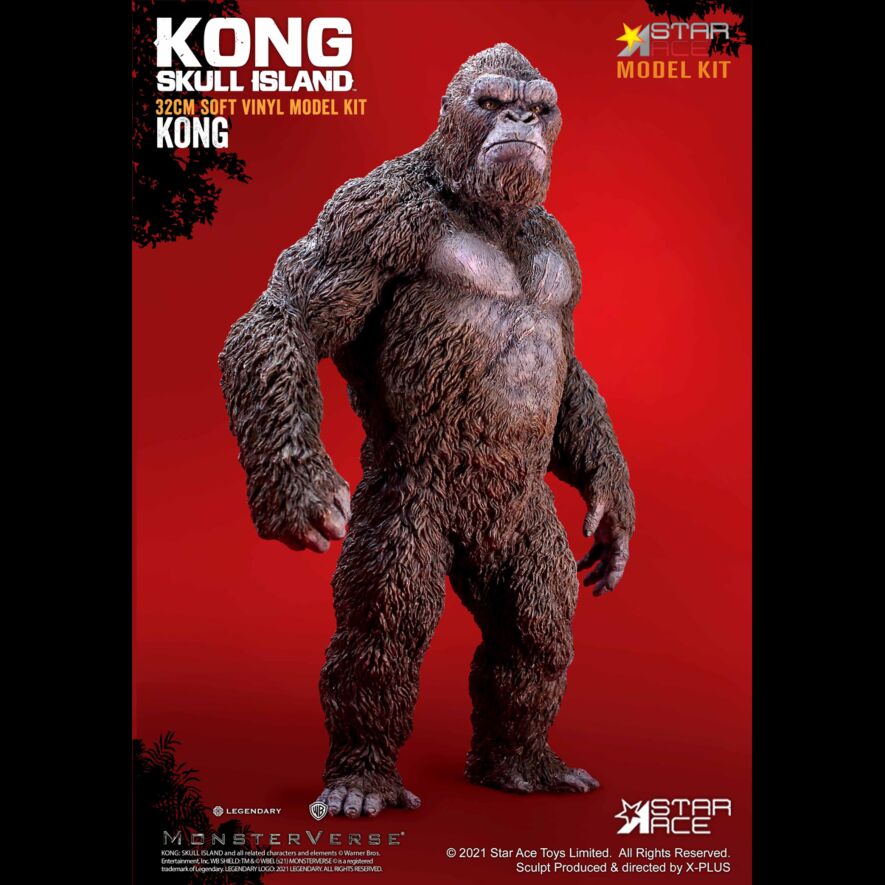 kong_kit_1.jpg