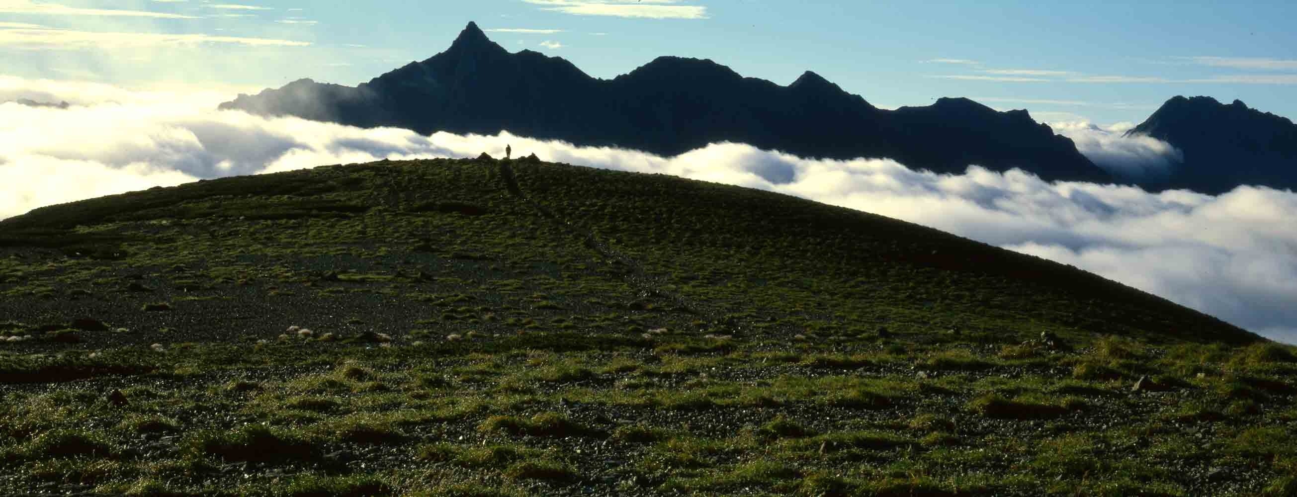 相模原市民ギャラリー 自主企画展「岩橋英遠・岩橋崇至 ふたりの
