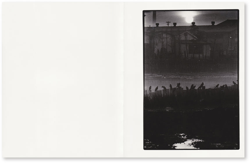 屑 Slaughter Masahisa Fukase (深瀬昌久) – SUPER LABO
