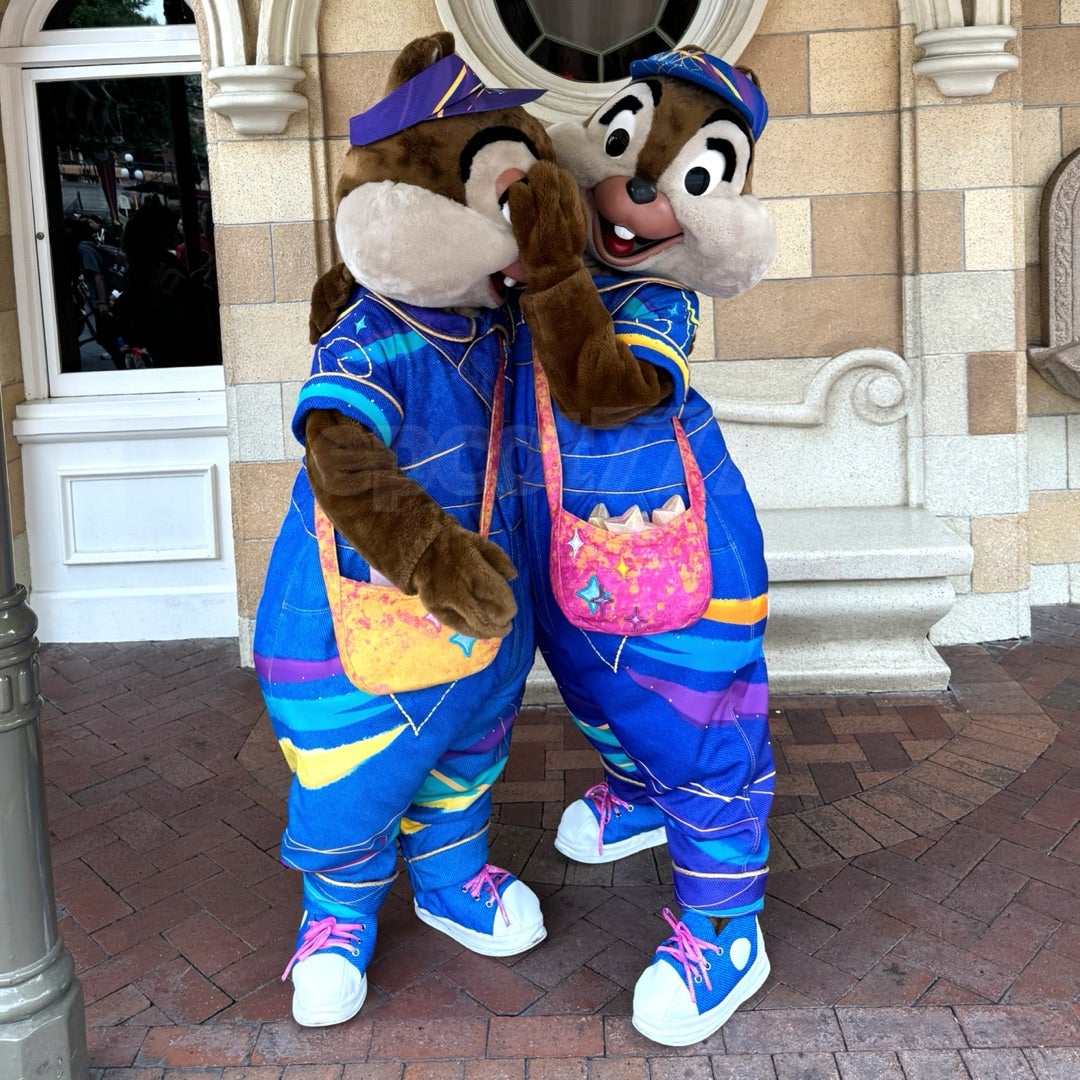 会いたかったチップとデール‼️70周年アナハイムディズニー✨B.D | WDW