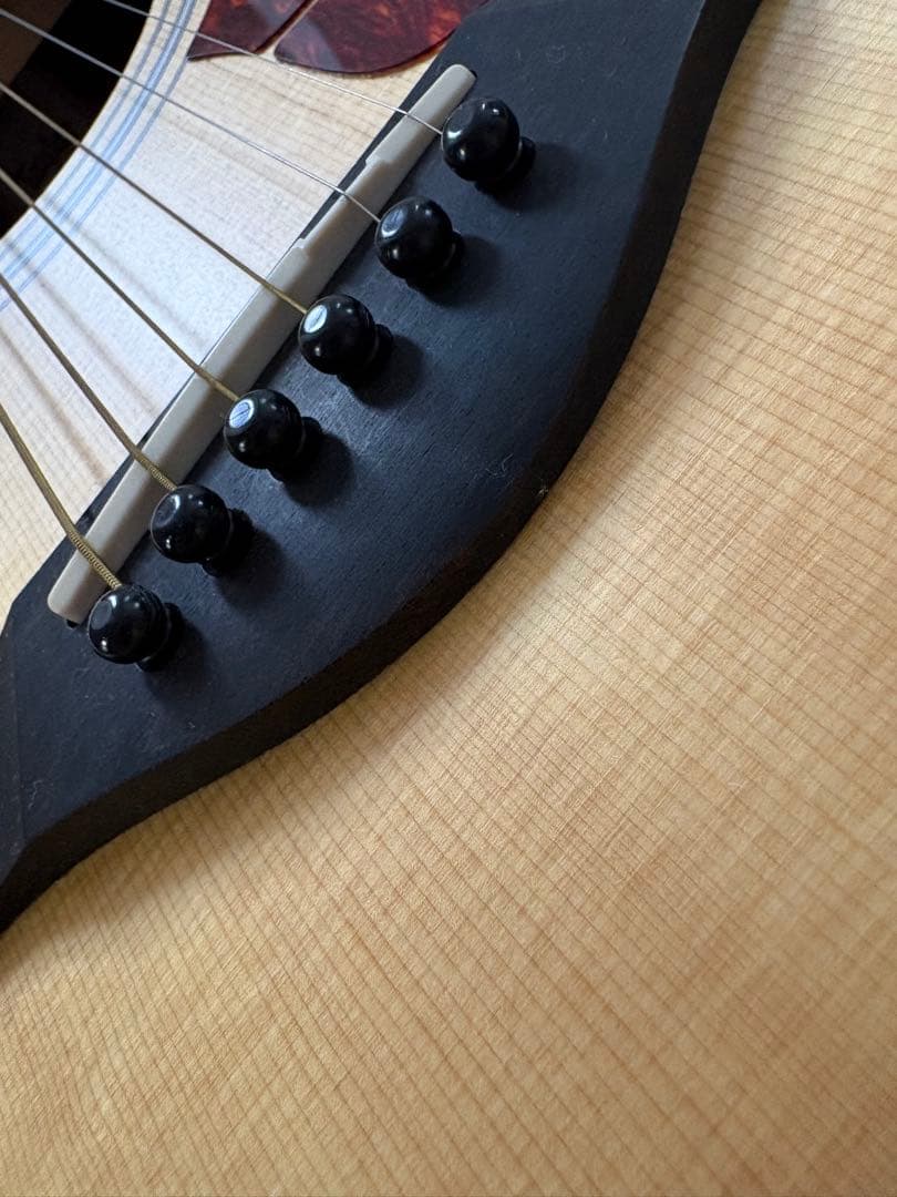 Taylor テイラー アコースティックギター エレアコ コブクロ 小渕