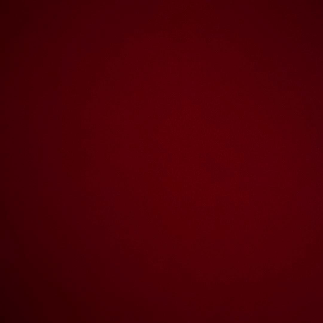 専用 ZX-6R (24) デザインが美しい IMPAKTECH製 スタントケージ｜AxxL