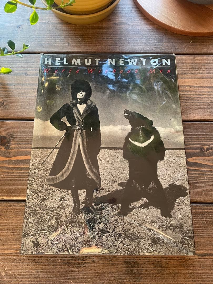 HELMUT NEWTON World Without Men 洋書 初版希少！ World Without Men: Newton, Helmut: 9780937950067: Amazon.com: Books