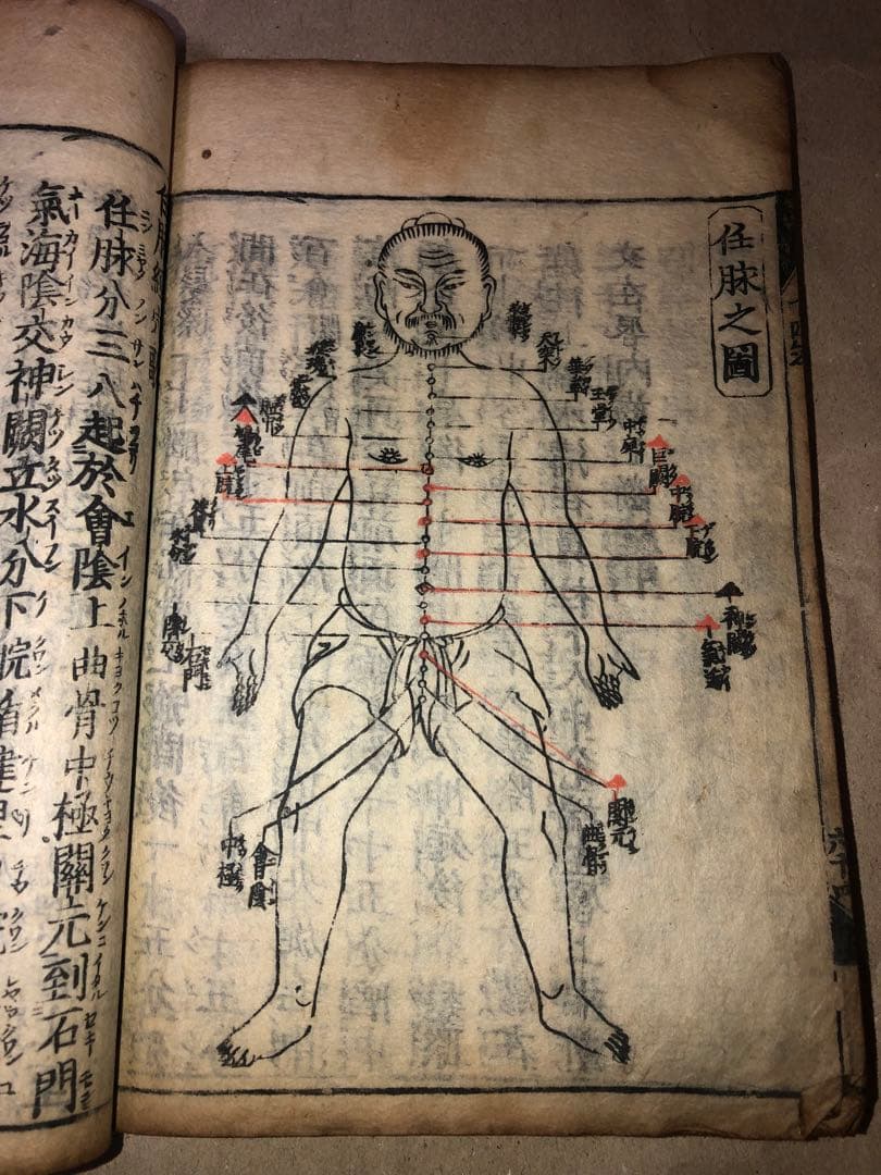 トリ親子様 リクエスト 2点 まとめ商品 トリックス様 リクエスト 2点 まとめ商品 - メルカリ