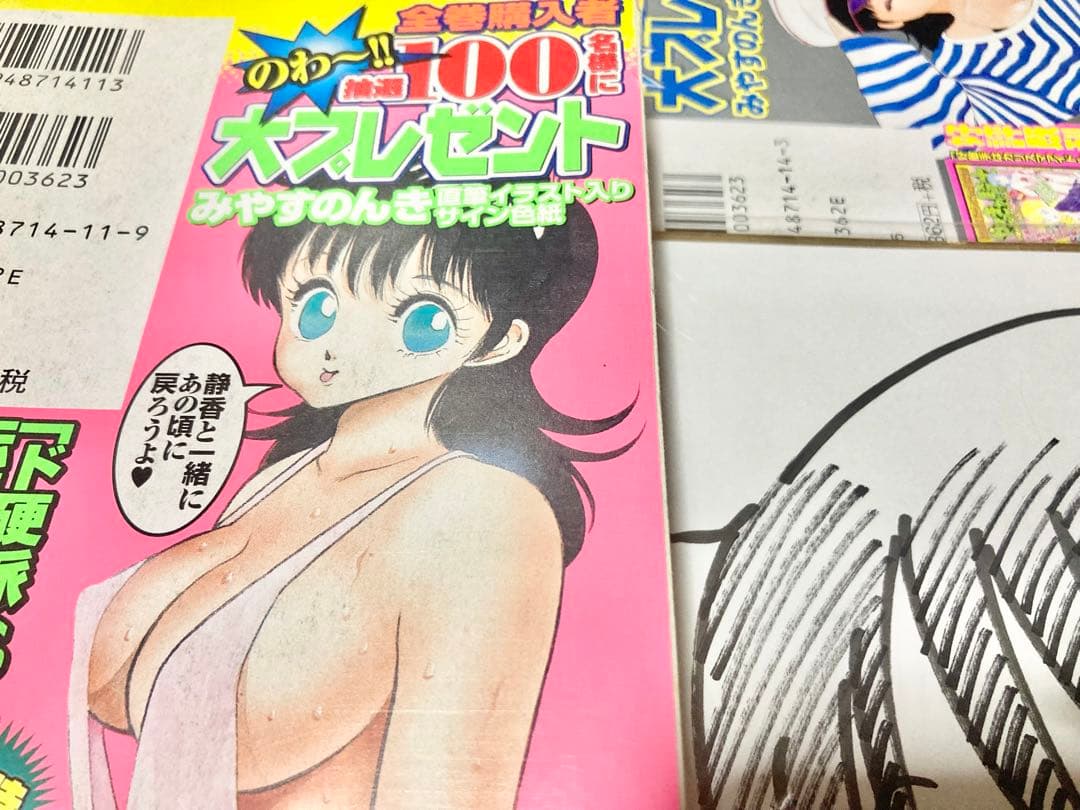 やるっきゃ騎士　みやすのんき　静香　集英社ジャンプコミックス　直筆サイン色紙