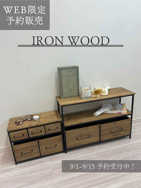 WEB限定アイアンウッドミニ5ドロワーマルチラック | salut!(サリュ